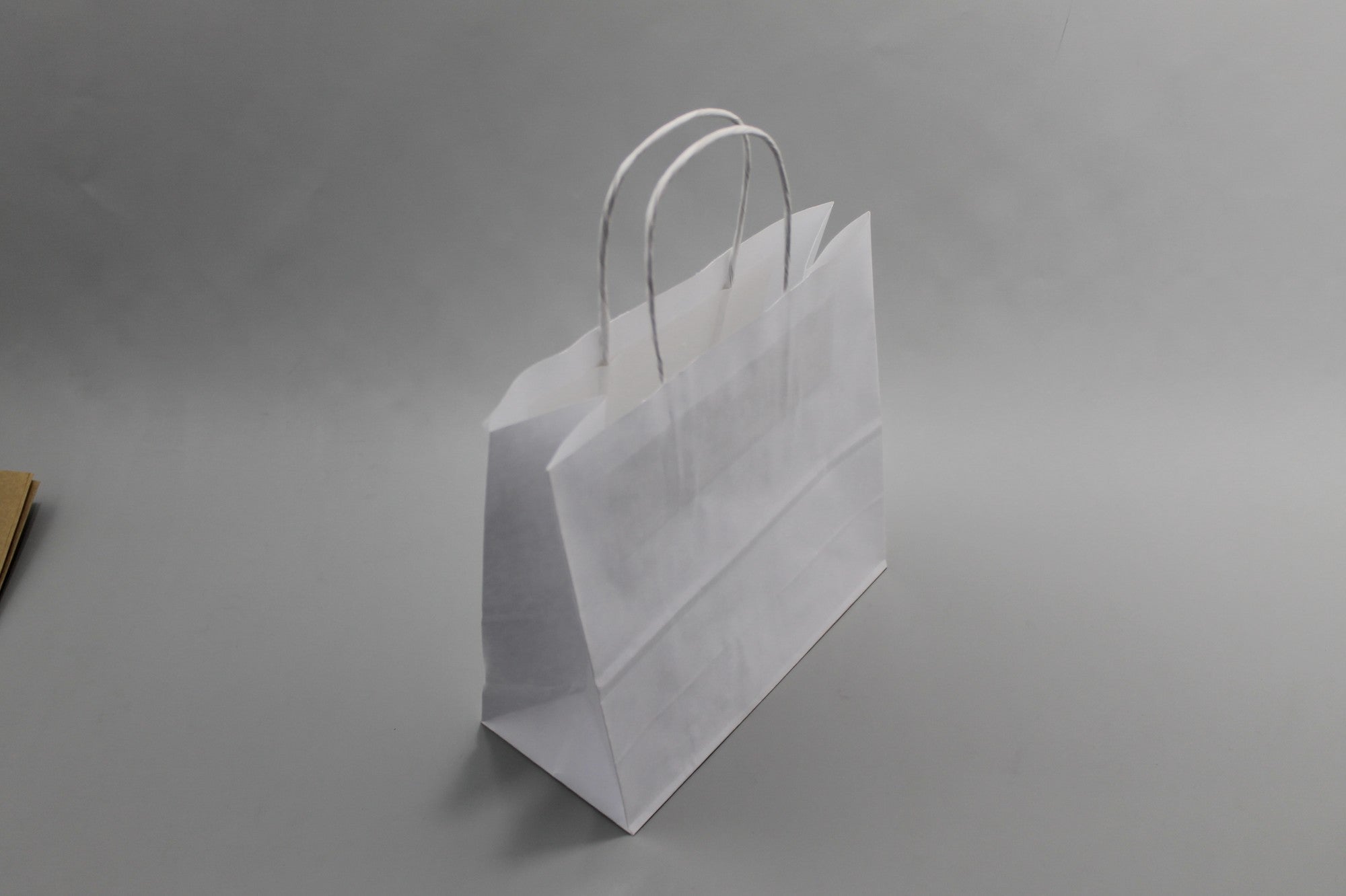 Paper Carrier Bags White 22x10x31cm Kraft 90 g/gm with twisted handles