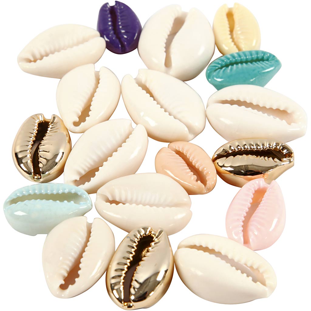 Shell, L: 20 mm, assorted colours, 75 pc