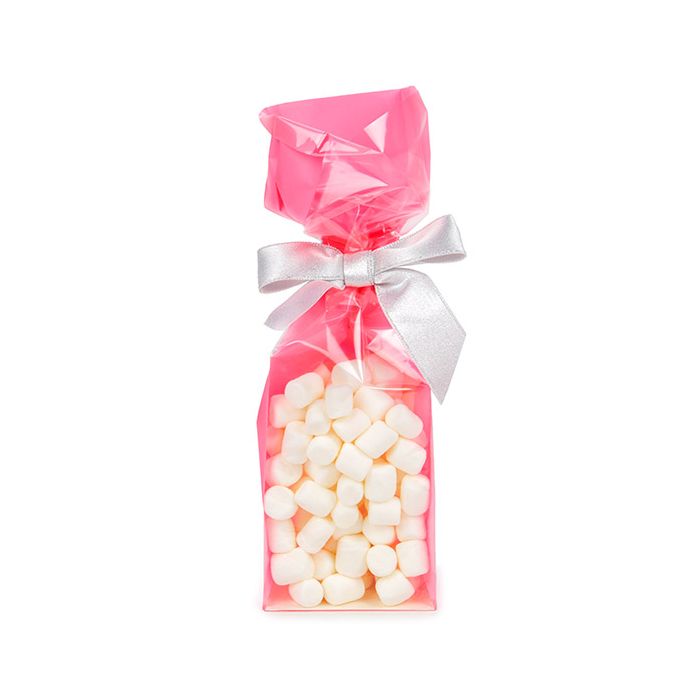 Block Bottom Bags Neon Pink w/ Paper Insert 7x5,1x25,4 cm