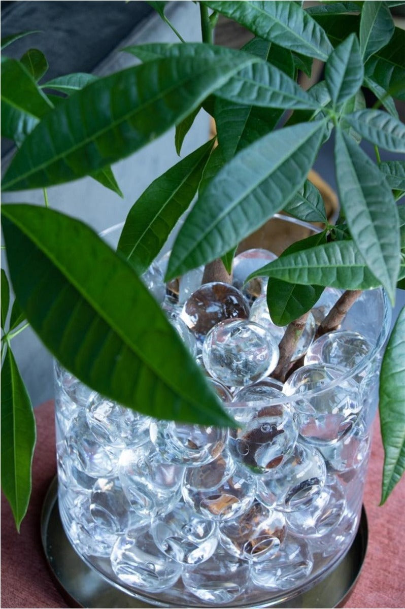 Grosses boules d'eau 20 Pcs dia 40-50 mm (1 boîte) [IFS-10325]