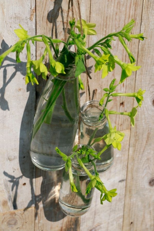Bouteille de lait en verre 250ml 14cm de haut Ø 6cm (plateau avec 24 pièces) [IFS-129191]