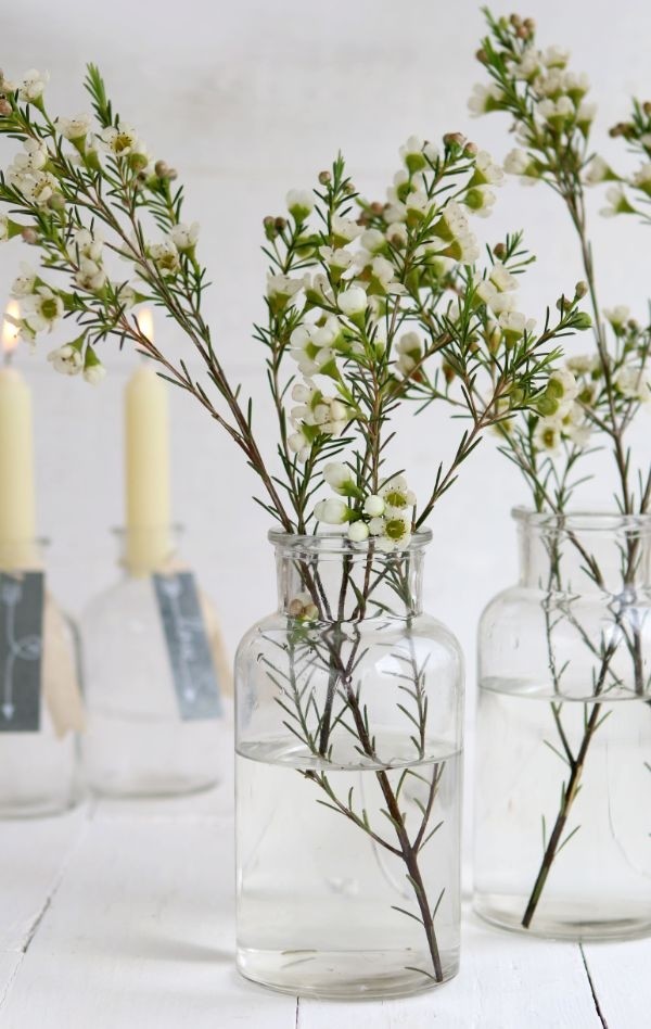 Fiole en verre de 16cm de haut Ø 8cm (plateau de 12 pièces) [IFS-129195]