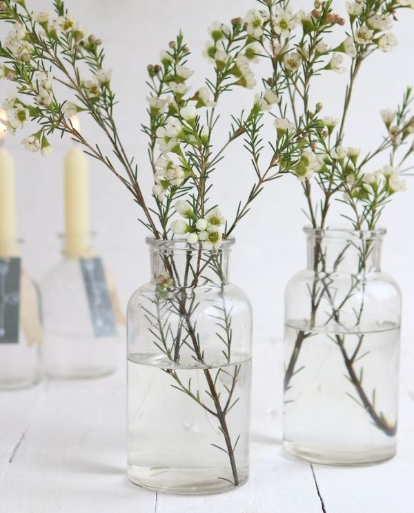 Fiole en verre de 16cm de haut Ø 8cm (plateau de 12 pièces) [IFS-129195]