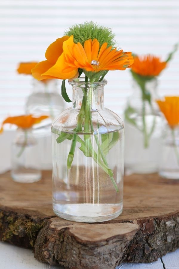 Bouteilles en verre Ø7 h: 12 cm Transparent (20 Pcs) [IFS-129196]