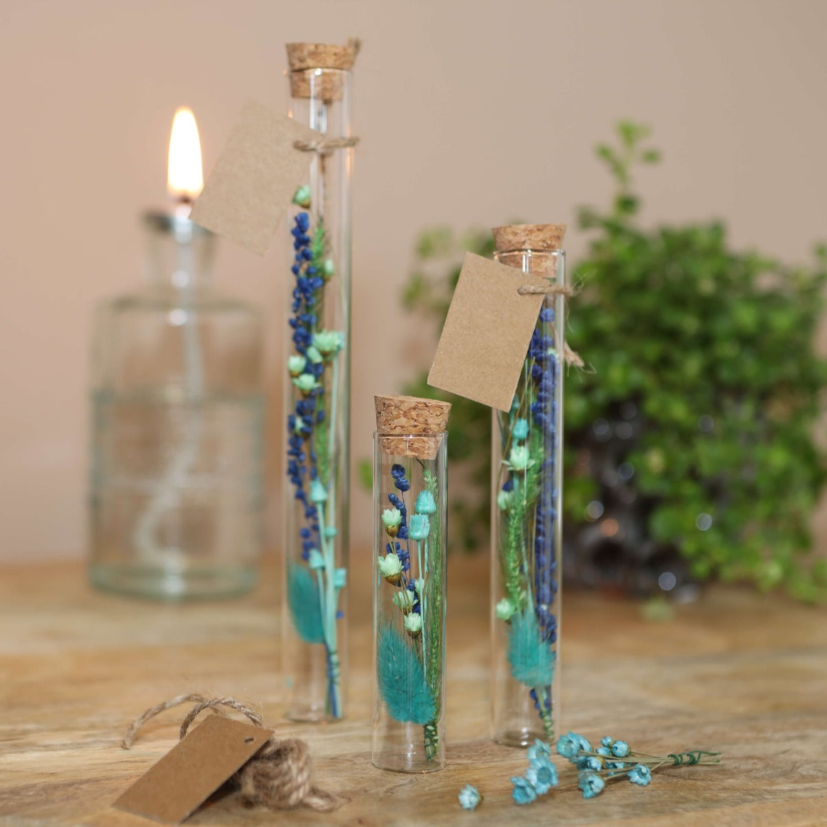 Glazen buis Ø2cm en 19cm hoog (12 st.) [IFS-29108]