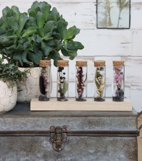 Tubes en verre Ø3cm 5 tubes sur planche de bois (6 pièces.) [IFS-29147]