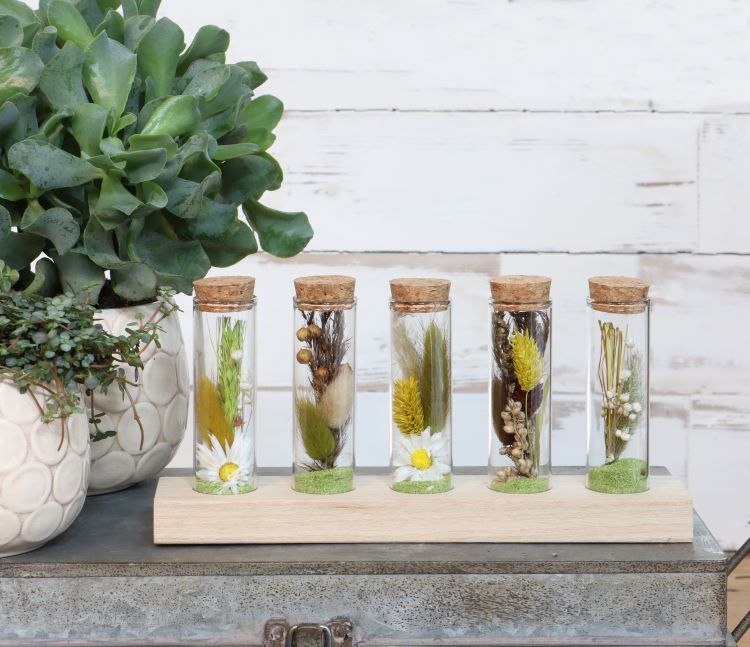 Tubes en verre Ø3cm 5 tubes sur planche de bois (6 pièces.) [IFS-29147]