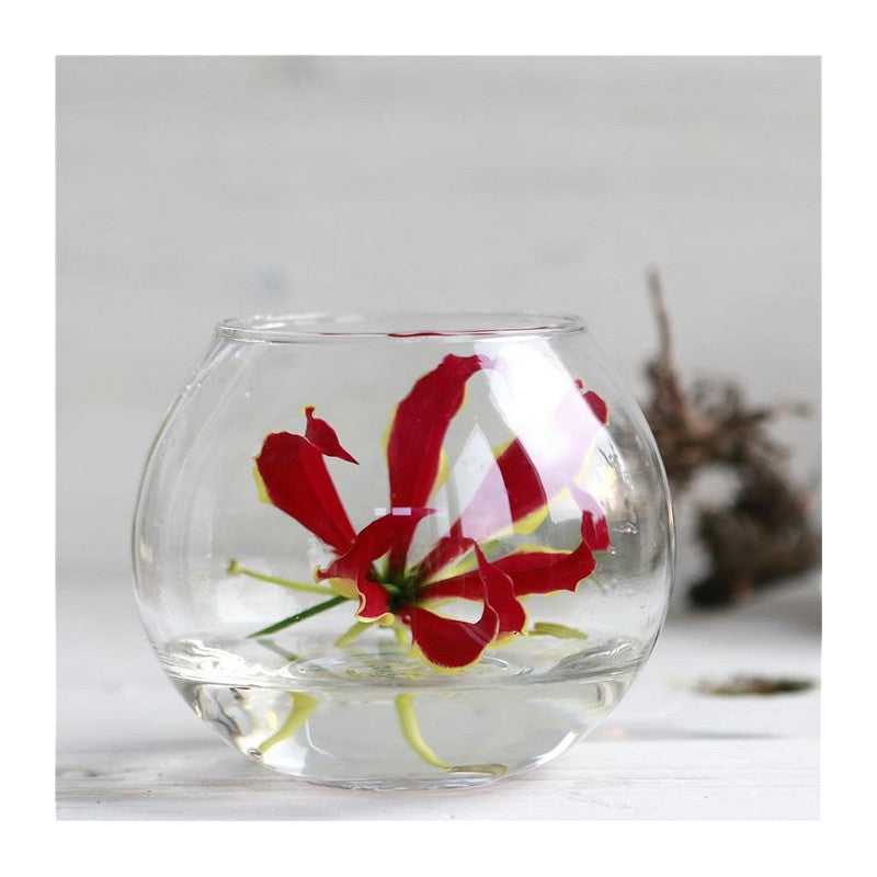 Pot boule en verre Ø 10 cm, H. 8 cm (6 pièces) [IFS-29182]