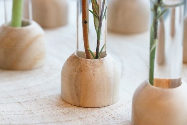 Base en bois avec tube à essai de 2 cm de diamètre et de 15 cm de hauteur (1 pièce) [IFS-29217].