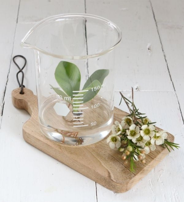 Becher en verre Ø 9cm et 11cm de hauteur (1 pièce) [IFS-29255].