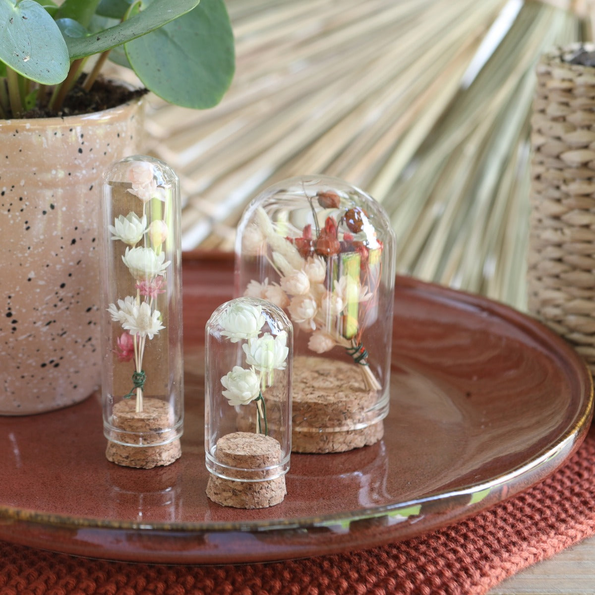 Mini dome en verre Ø2cm et 7cm de haut avec liège (12 pièces.) [IFS-29409]