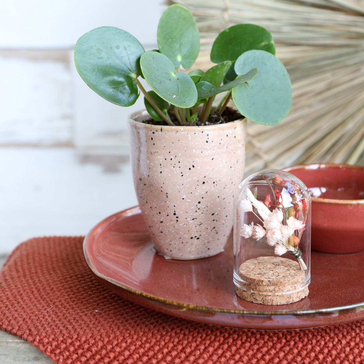 Glazen mini stolp Ø4cm en 6cm hoog met kurk (6 st.) [IFS-29410]