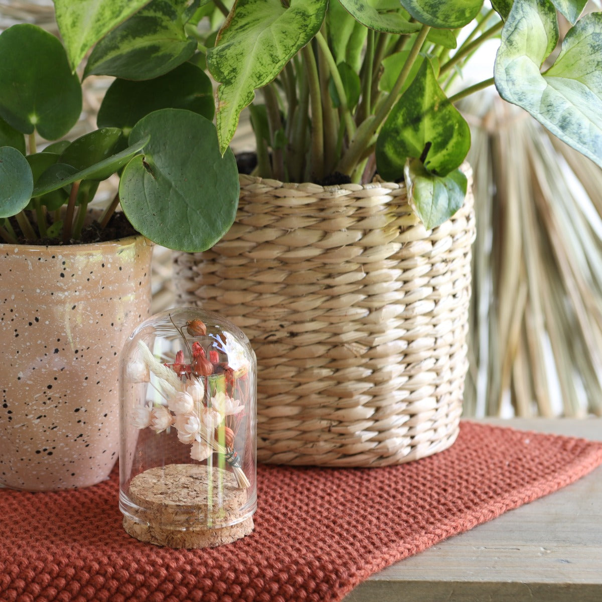 Glazen mini stolp Ø4cm en 6cm hoog met kurk (6 st.) [IFS-29410]