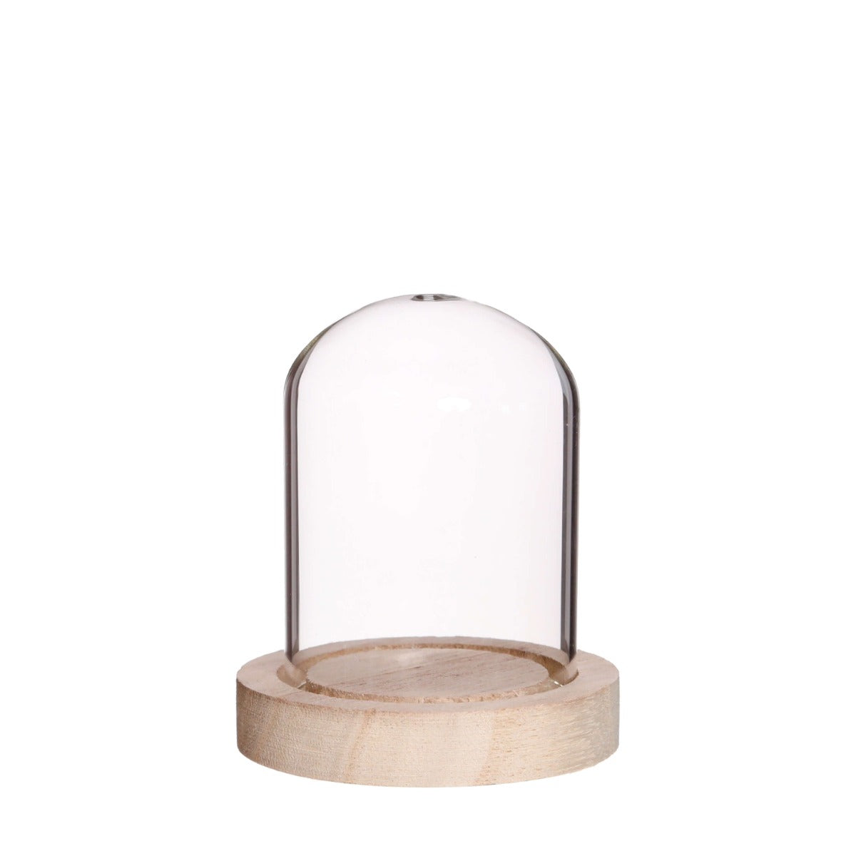 Cloche en verre Ø8cm et 8cm de haut avec bois (6 pièces.) [IFS-29419]