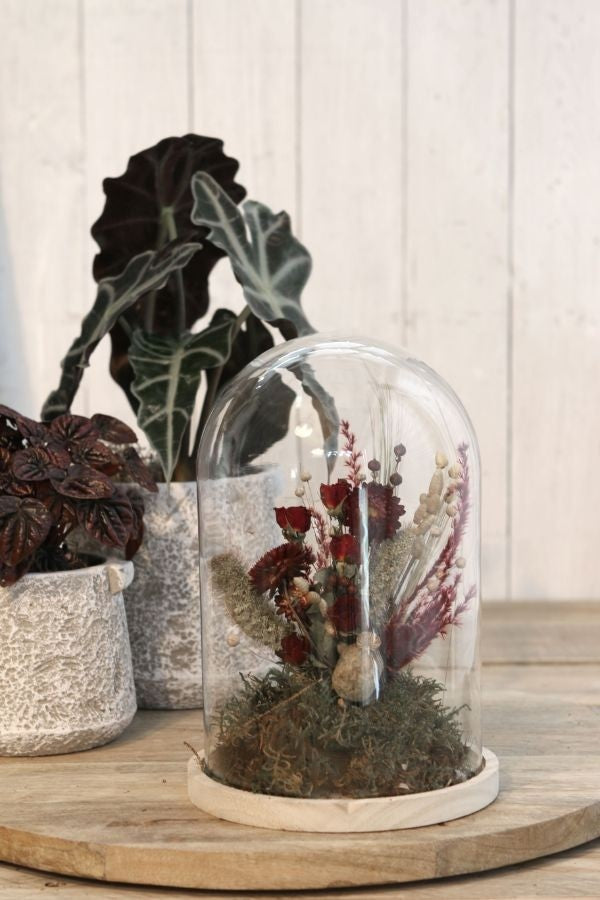 Glazen koepel met houten basisvoet Ø 17 cm en 25 cm hoog (1 st) [IFS-29425]