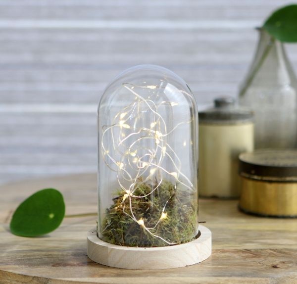 Dôme en verre avec base en bois Ø 10cm et 15 cm de hauteur (1 pièce) [IFS-29428]