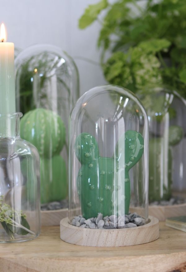 Dôme en verre avec base en bois Ø 10cm et 15 cm de hauteur (1 pièce) [IFS-29428]