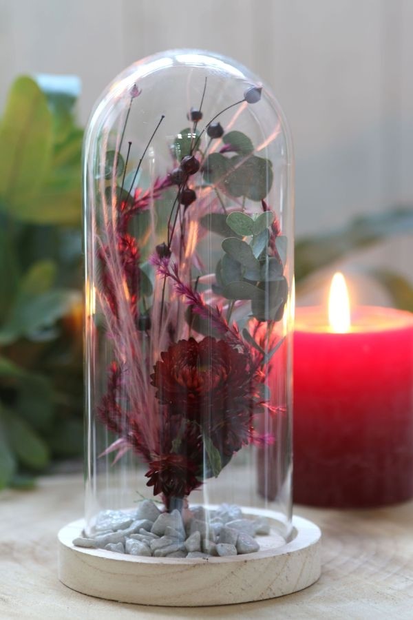 Dôme en verre avec base en bois Ø 10cm et 20 cm de hauteur (1 pièce) [IFS-29429]