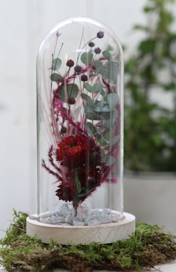 Dôme en verre avec base en bois Ø 10cm et 20 cm de hauteur (1 pièce) [IFS-29429]