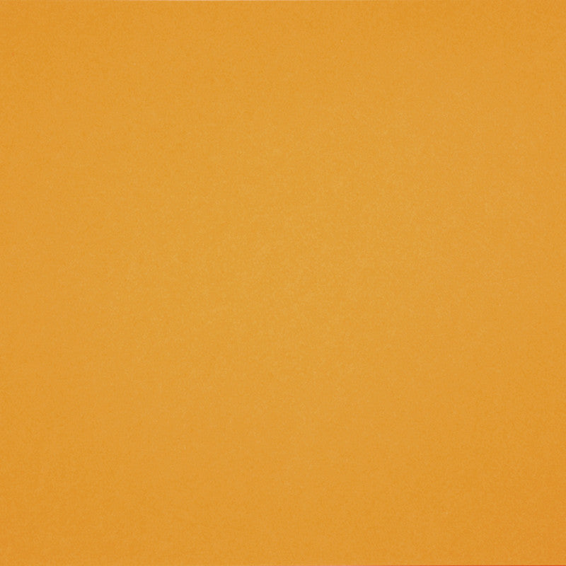 Frans karton, A4, vel 210x297 mm, 160 gr, Canary, 1 vel [HOB-294400]