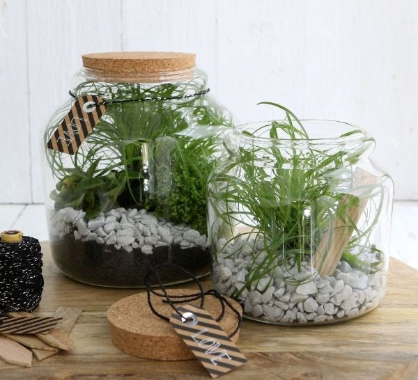 Bocal en verre avec bouchon de liège Ø 15cm et 14 cm de hauteur (1 pièce) [IFS-29451]