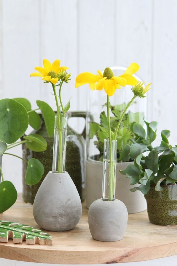 Cementsokkel met glazen reageerbuis Ø 6 cm en 15 cm hoog (1 pc) [IFS-29475]