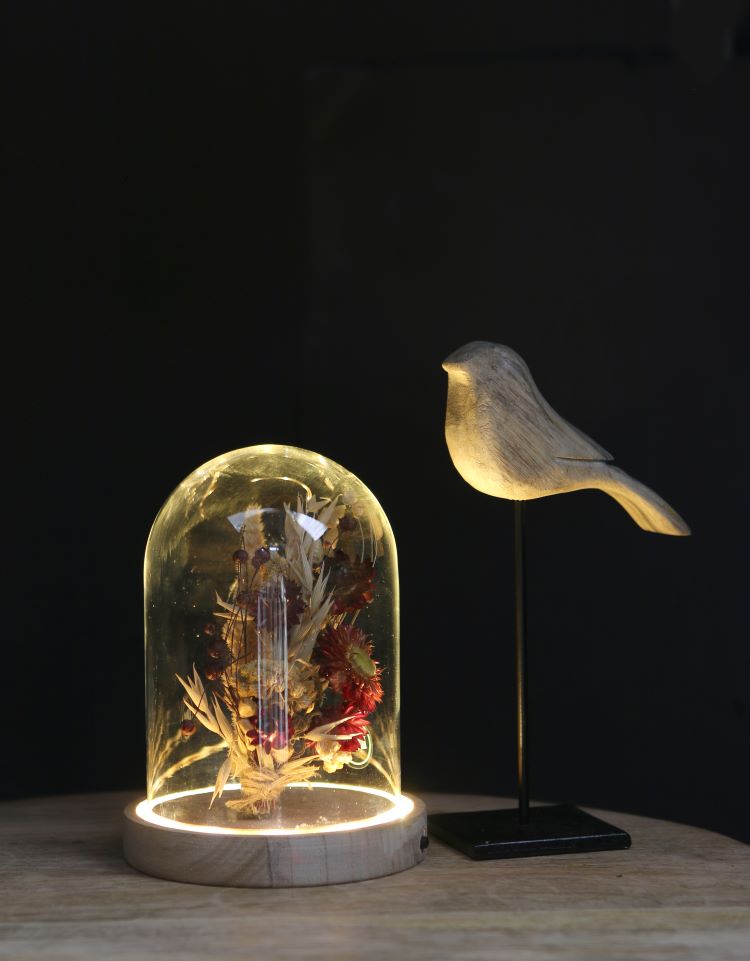 Cloche à LED en verre avec base en bois Ø12cm (1 pièce) [IFS-29493]