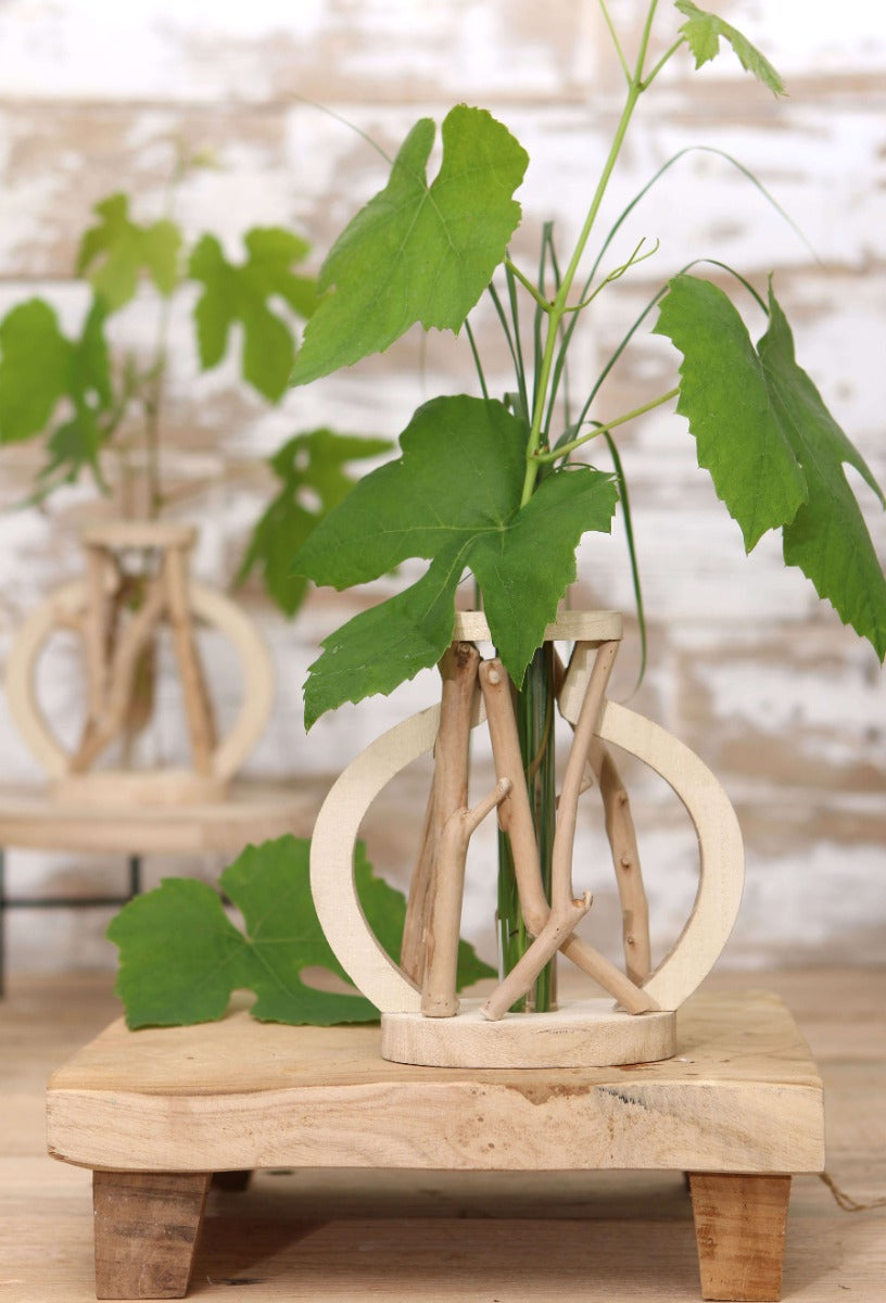 Reageerbuisje met standaard van drijfhout groot (1 st.) [IFS-29645]