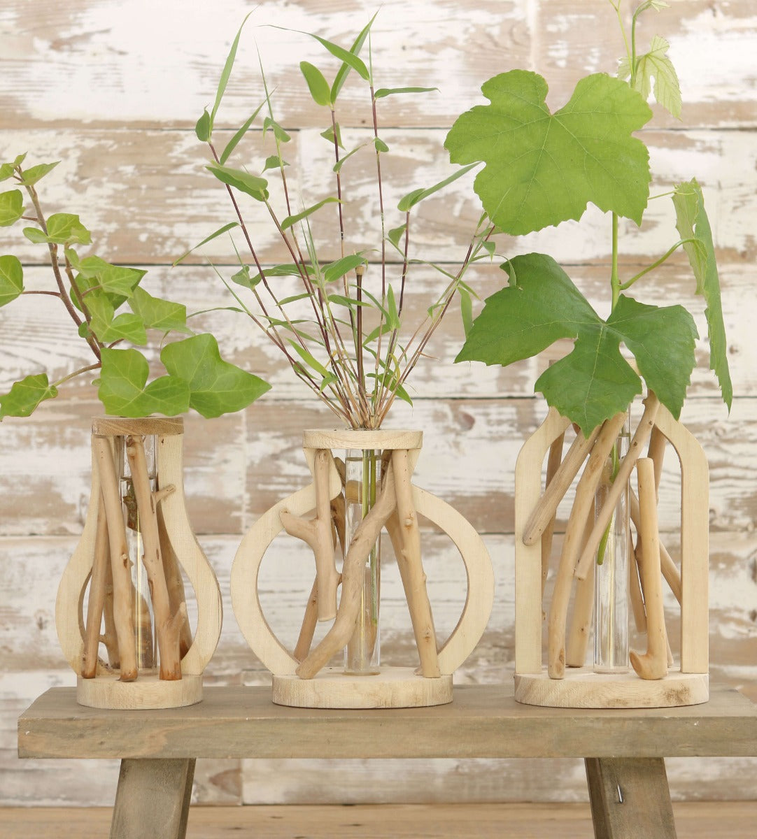 Petit Tube à essai avec support en bois (1 pièce.) [IFS-29646]