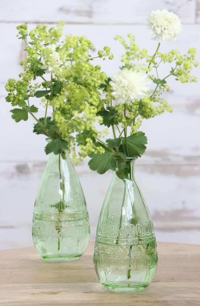 Vase à fleurs Rome Ø7,5cm et 16cm de haut Vert (12 pièces.) [IFS-29735]