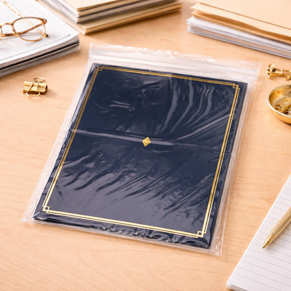Sachet zip transparent en PE-BD 25,4x33cm (100 pièces) [2PE1013]