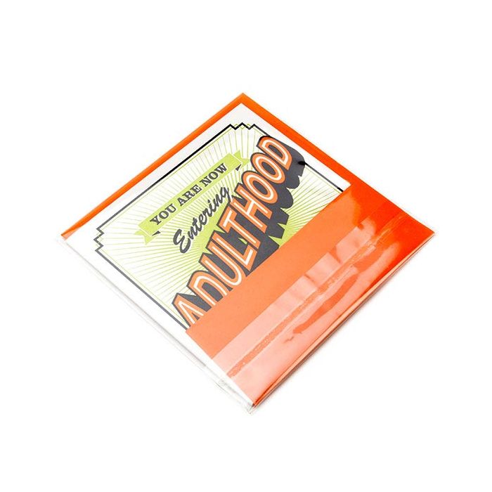 Sachet Plastiques 12x12 cm Transparent et Refermable (100 pcs) [KO-301212]
