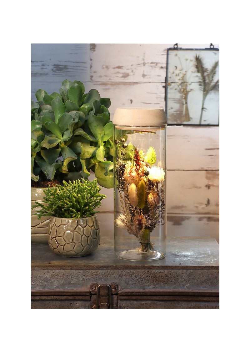 Reageerbuisje Ø8 h: 23 cm met licht + zonnepaneel kurk (1 stuk) [IFS-30174]