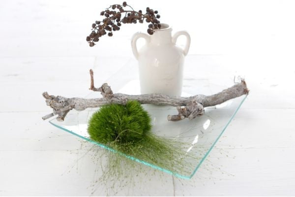 Glazen plaat Vierkant 20x20x2cm dik (1 pc) [IFS-30263]