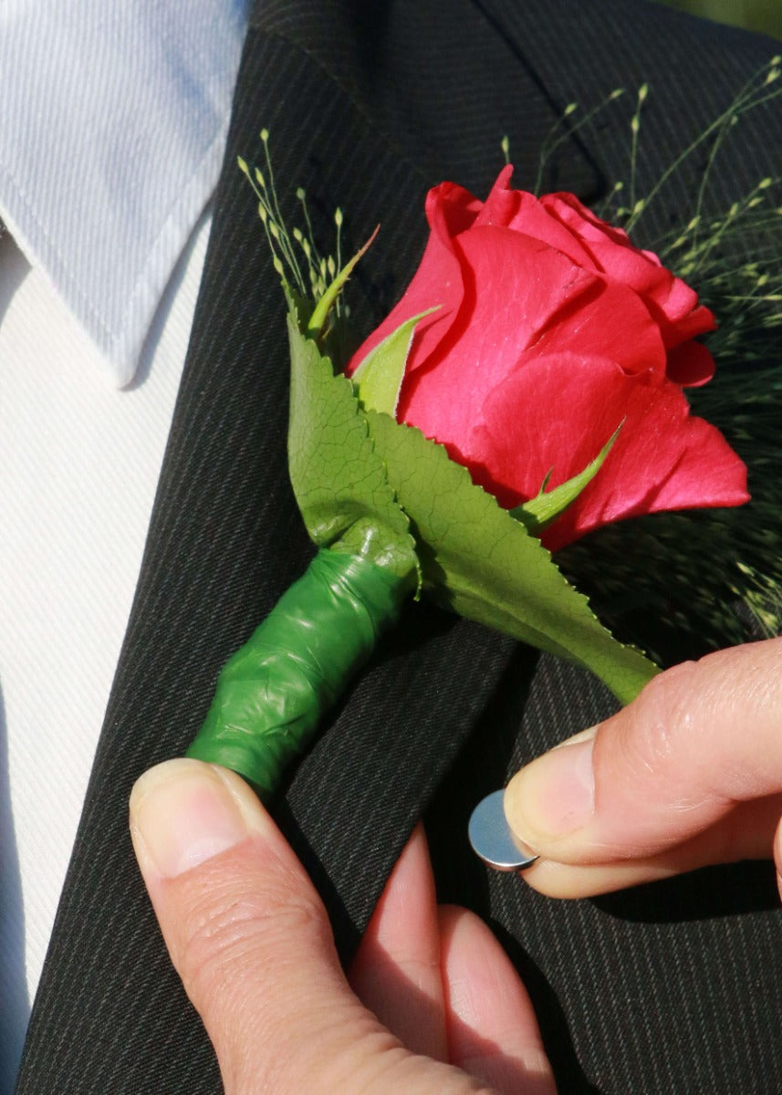 Magneet Set van 50 stuks [IFS-30311]