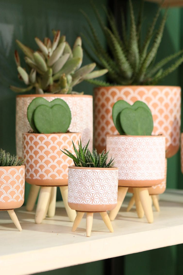 Pot à plantes Terra avec pieds en bois 21.5cm de haut (6 pièces.) [IFS-33005]