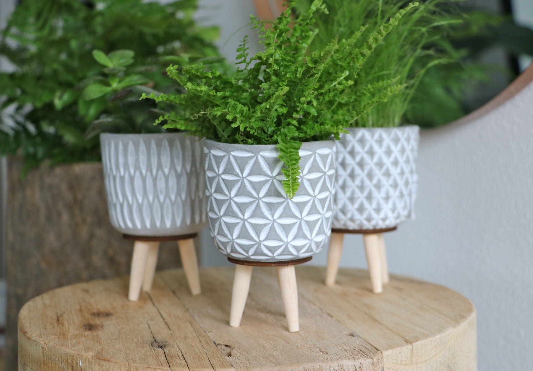 Plant pot Cement with wooden legs 11cm high (6 pcs.)