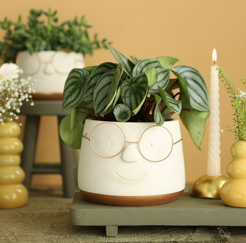 Pot avec verres or Ø13,5 h: 10,5 cm (6 Pcs) [IFS-33098]