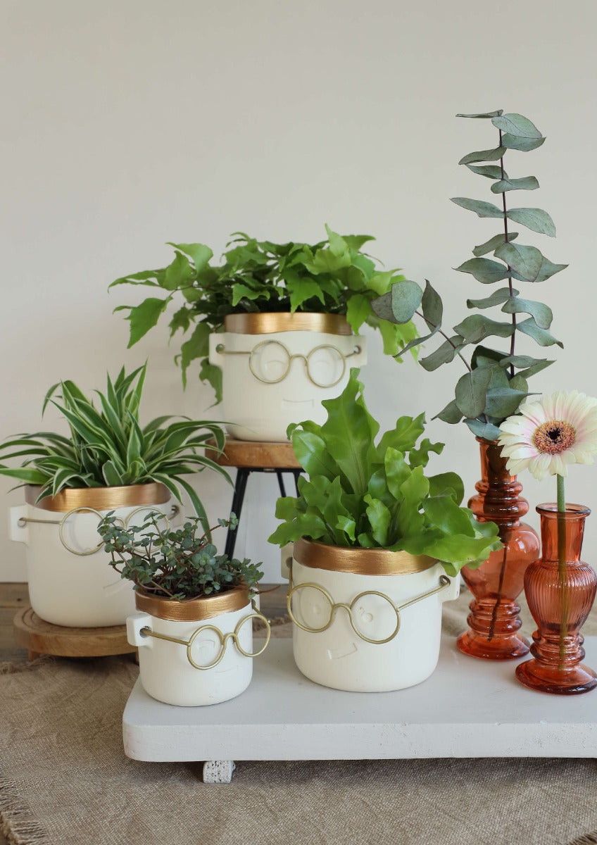 pot de fleurs "harry" or 2 ass. Ø12 h:11,5 cm (6 Pcs) [IFS-33184]