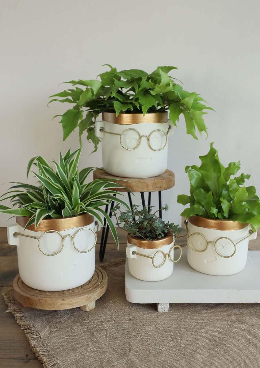 Plantenpot met bril Goud 2 ass. Ø14 h:13,5 cm (6 stuks) [IFS-33185]