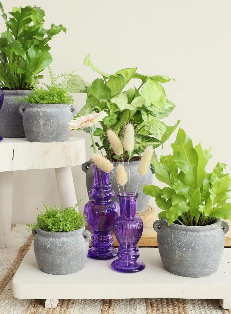 Amphora pot 10x8,2x6,5 cm (6 stuks) [IFS-33242]