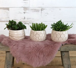 Pot à plantes Mila glacé avec motifs incrustés Crème 7cm high (9 pièces.) [IFS-33507]