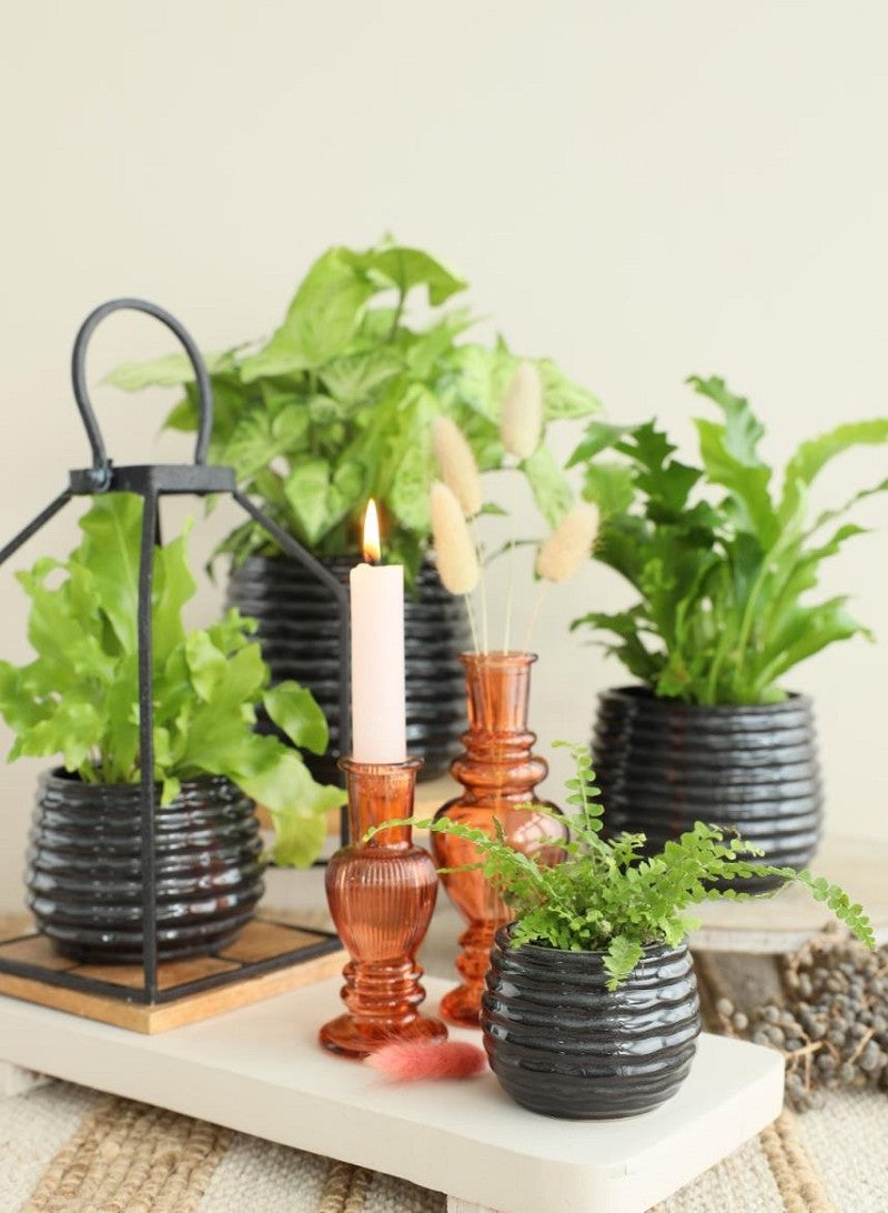 Pot Black Antraciet Rise Ø6,5 x h: 8 cm (12 stuks) [IFS-33972]