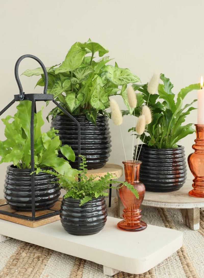 Pot Black Antraciet Rise Ø13 x h: 15,5 cm (4 stuks) [IFS-33975]