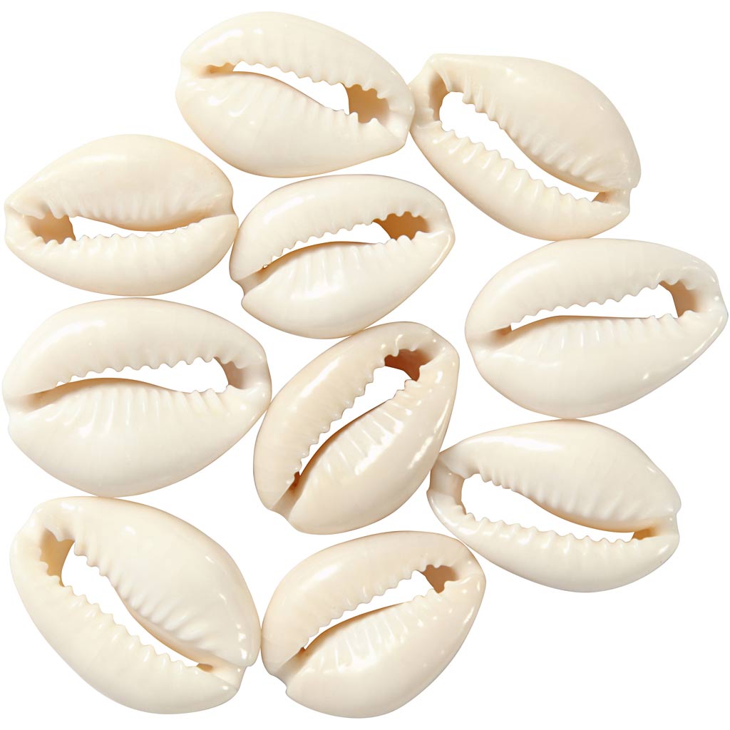 Shell, L: 20 mm, natural, 12 pc