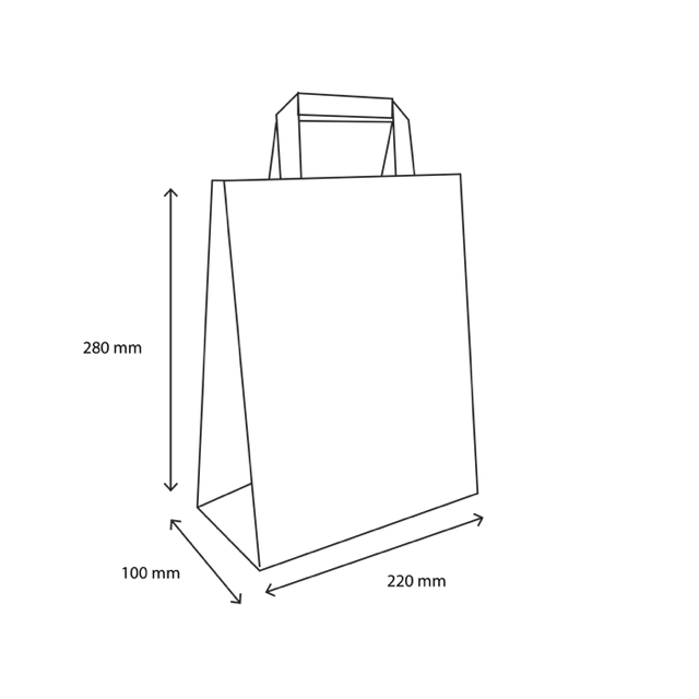 Sac en Papier 22x10x28cm marron (250 pcs) [TK-9987499]