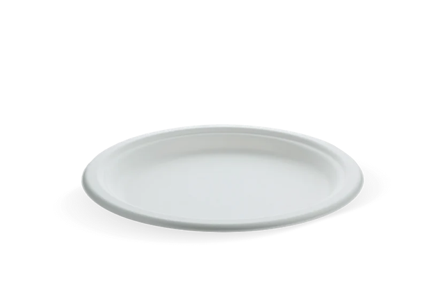 Bord suikerriet Ø22.5cm (500 stuks) [TK-9988103]