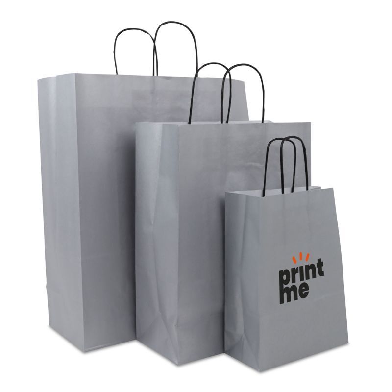 Sac à poignées torsadées en papier - Uni 35+14x41 cm Argent (250 pcs) [FP-DPT074]