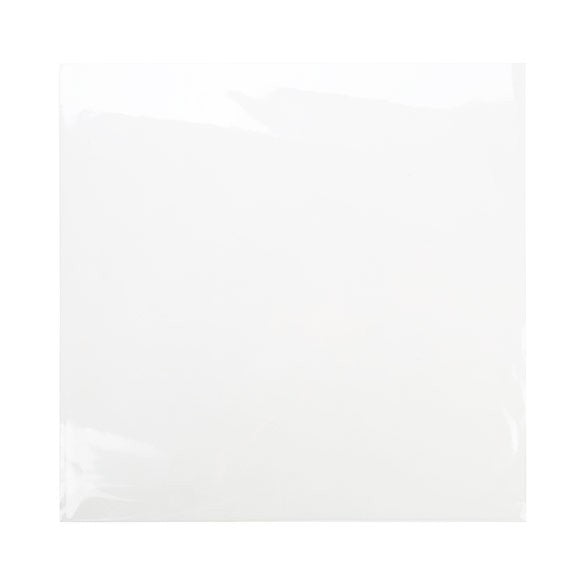 Plastiek Zakken 31,6x31,1cm transparant (100 stuks) [B12X12NF]