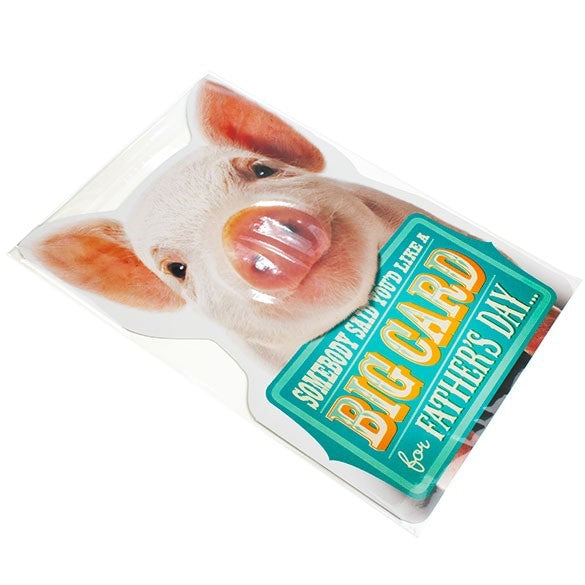 Sachet plastique plat grand format 34,1x48,9cm Refermable par Rabat Adhésif (100 pièces) [B1319]